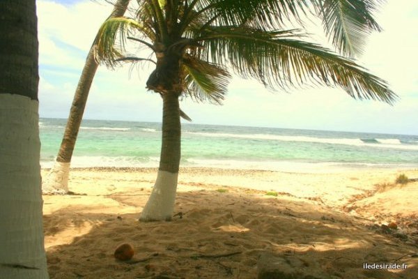 Plage de Petite-Rivière